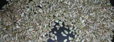 халва домашняя из семечек. Шаг 3