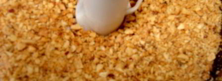 халва домашняя. Шаг 6