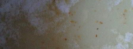 любимая халва султана. Шаг 5