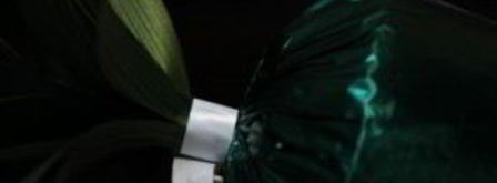 ананас из конфет. Шаг 6