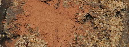 полезные конфеты из чечевицы и фиников. Шаг 4