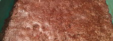 полезные шоколадные конфеты. Шаг 5