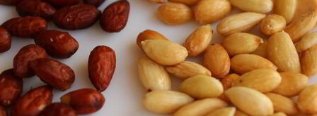 шоколадные конфеты с миндалем и апельсином. Шаг 4