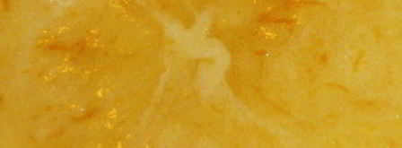 апельсиновый курд. Шаг 11