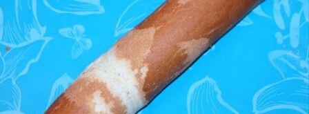 имбирный рулет с кремом и цукатами. Шаг 11