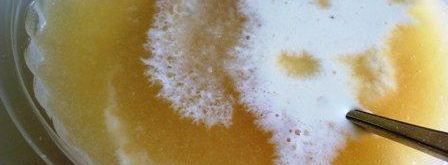 мороженое из дыни с медом. Шаг 6