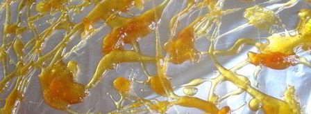 ванильное мороженое и груша-пашот сладкая парочка. Шаг 7