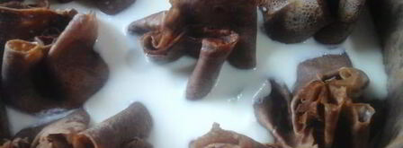 блинный торт-мусс тропик. Шаг 18