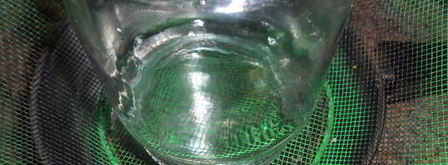 брусничный мусс. Шаг 4