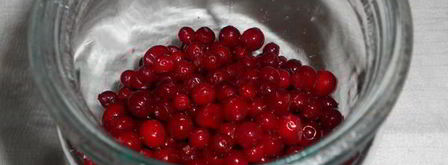 брусничный мусс. Шаг 5