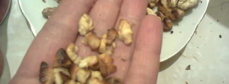 мусс из сухофруктов и орехами. Шаг 12