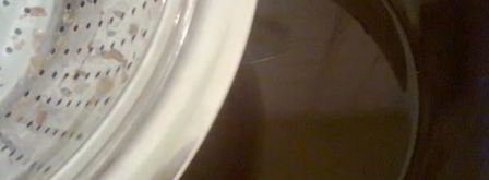 мусс из сухофруктов и орехами. Шаг 4