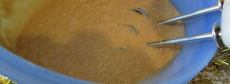 мусс новогодний. Шаг 8