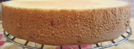 торт-мусс из апельсинового бисквита, винного крем-мусса и розового винограда. Шаг 16