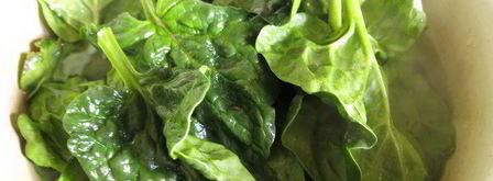 молочно-мятная пасха цветок. Шаг 8