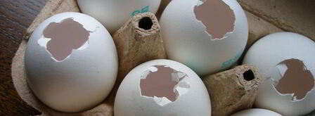 пасхальные брауни в яичной скорлупе. Шаг 6