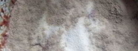 пудинг из печени говяжьей. Шаг 4