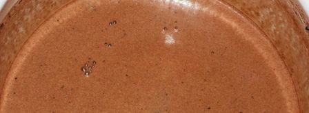 домашний щербет. Шаг 3