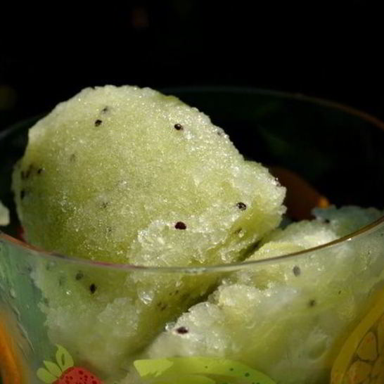 Рецепт дынного щербета