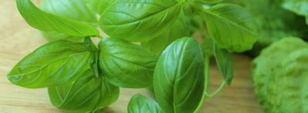 шоколадный десерт с базиликом. Шаг 11