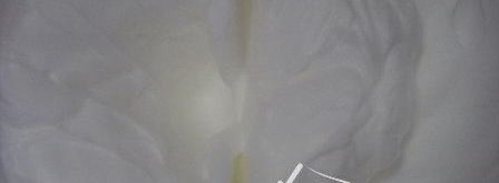 зефир на белках. Шаг 14