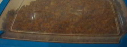 бастурма из индейки. Шаг 4