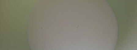 блинная лапша с грибами. Шаг 5