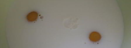 блинная лапша с грибами. Шаг 6