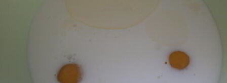 блинная лапша с грибами. Шаг 7