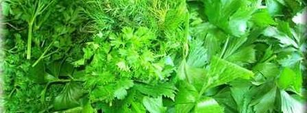 колдуны из картофеля с фаршем. Шаг 4