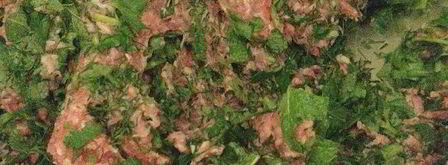 азербайджанская долма в виноградных листьях. Шаг 3