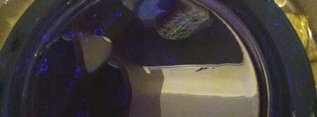 долма — голубцы в виноградных листьях. Шаг 8