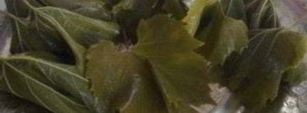 голубцы из виноградных листьев. Шаг 5