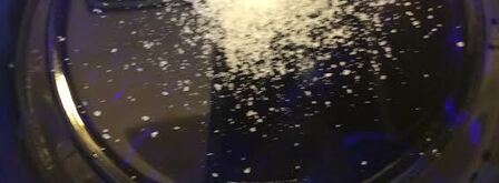 голубцы летние. Шаг 7