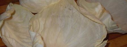 голубцы традиционные украинские. Шаг 6