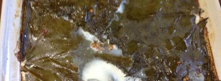 ленивая долма. Шаг 9