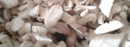 ленивые голубцы с вешенками. Шаг 5