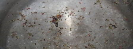 постные закусочные голубцы с острой морковной начинкой. Шаг 5