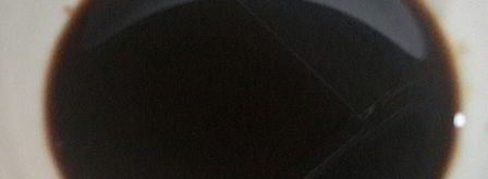 грибная лапша по-шанхайски. Шаг 5