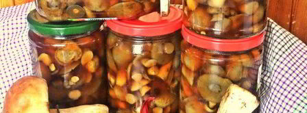 грибы в маринаде. Шаг 7