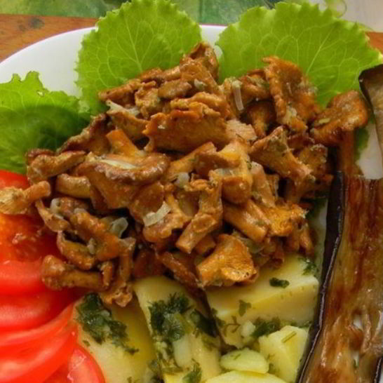 Рецепт лисичек, запеченных в сметане