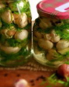 Соленые шампиньоны