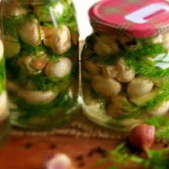 Рецепт соленых шампиньонов