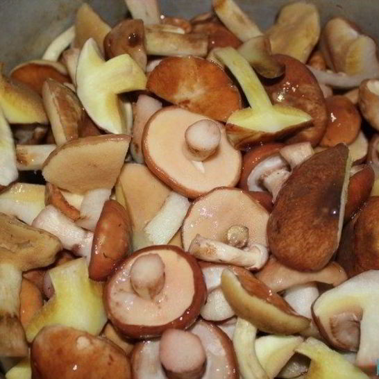 Рецепт запеченных маслят