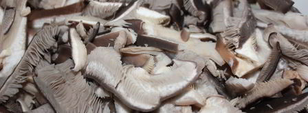 жареные вешенки. Шаг 3