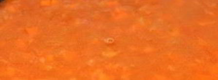 гуляш из рыбы. Шаг 5