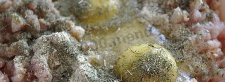 нежные куриные котлетки. Шаг 5