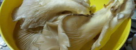 грибная лазанья. Шаг 3