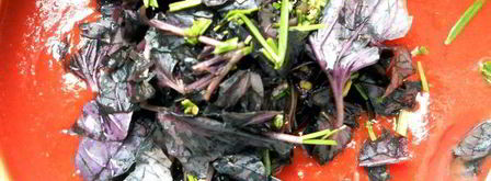 лазанья из ржаных блинчиков с курицей, томатами и базиликом. Шаг 9