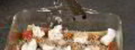 лазанья с рикоттой и баклажанами. Шаг 7